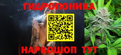 гашик Обь
