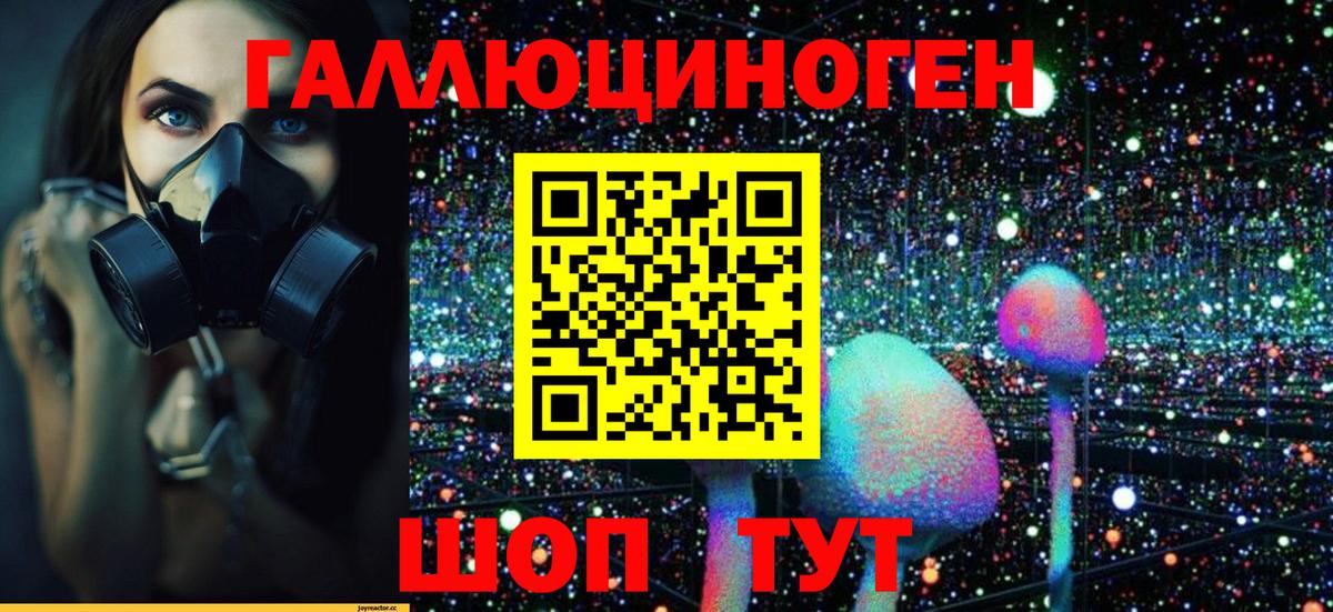 Галлюциногенные грибы Psilocybe  Вход с VPN  Химки  Галлюциногенные грибы прущие грибы 