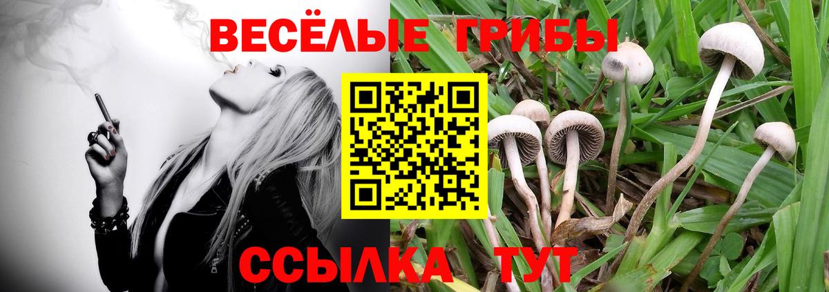 Псилоцибиновые грибы прущие грибы Химки